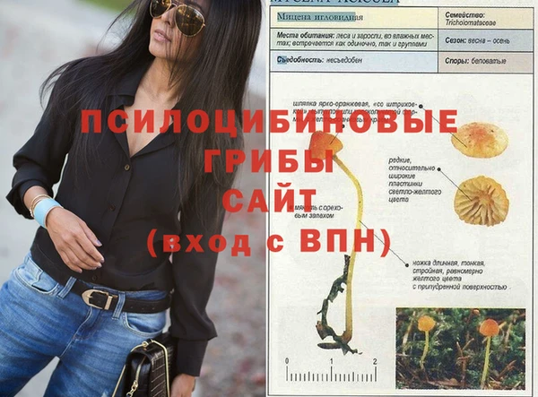 Альфа ПВП Алексин
