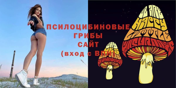 Альфа ПВП Алексин