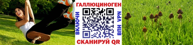 сколько стоит  Ессентукская  Галлюциногенные грибы мицелий 